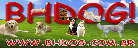 Visite o Site BH Dog