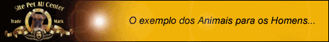 Este Site &eacute; o Bicho!